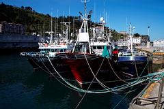 В Европе энергетический кризис сочли угрозой для рыболовной отрасли