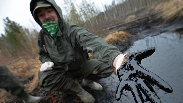 В России нашли способ снизить токсичность загрязненной нефтью почвы 0
